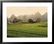 Rice Fields, Yangshuo, Guangxu Province, China, Asia by Angelo Cavalli Limited Edition Pricing Art Print