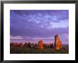 Viking Ale Stenar Burial Site, Kaseberga, Sweden by Walter Bibikow Limited Edition Print