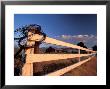 Coiled Barbed Wire And Red Barn, Near Walla Walla, Washington, Usa by Brent Bergherm Limited Edition Print