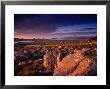 View Across Clogher Head On The Dingle Peninsula, Dingle, County Kerry, Munster, Ireland by Gareth Mccormack Limited Edition Print