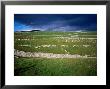 Limestone 'Pavements', Dry Stone Walls And Moody Skies, All Characteristics Of The Dales by David Else Limited Edition Pricing Art Print