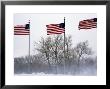 American Flags Blow In A Winter Storm, Washington, D.C. by Stacy Gold Limited Edition Print