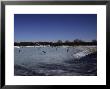 People Ice Skate On A Frozen Lake In Wisconsin by Stacy Gold Limited Edition Print