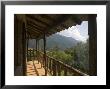 Wooden Balcony Of Venezuelan House With View Of Andean Cloud Forest by David Evans Limited Edition Print