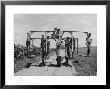 Contraption Built On Farm To Carry Youngsters Down Rows Of Corn So They Can Pull Off Corn Tassels by Alfred Eisenstaedt Limited Edition Pricing Art Print