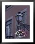 Lantern, Lisbon, Portugal by Yadid Levy Limited Edition Print