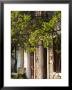 House Detail, Troianata, Kefalonia, Ionian Islands, Greece by Walter Bibikow Limited Edition Print