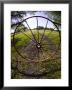 Gate With Metal Wheel Near Cuero, Texas, Usa by Darrell Gulin Limited Edition Print