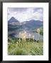 Beargrass, Hidden Lake And Mount Reynolds, Glacier National Park, Montana, Usa by Geoff Renner Limited Edition Print
