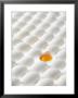 White Eggs, Lying On Their Sides, One Opened by Klaus Arras Limited Edition Print