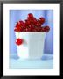 Redcurrants In A Small Pot by Franck Bichon Limited Edition Print