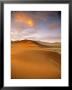Sand Dune In Desert, Namibia by Peter Adams Limited Edition Pricing Art Print