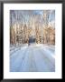 Winter Road In New England by Bill Bachmann Limited Edition Pricing Art Print