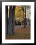 Gatehouse Near Jordan Pond, Maine, Usa by Jerry & Marcy Monkman Limited Edition Pricing Art Print