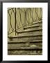 Detail Of Winding Staircase, Asolo, Italy by Todd Gipstein Limited Edition Print
