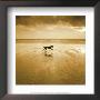 Dog On The Beach, West Wittering by Jo Crowther Limited Edition Print