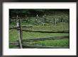A Traditional Split-Rail Fence At The Farmers Museum by Stephen St. John Limited Edition Print