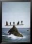 Quintet by Quint Buchholz Limited Edition Print