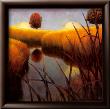 Silent Meadow 2 by James Wiens Limited Edition Pricing Art Print