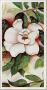 Graniflora Ii by Pat Monroe Limited Edition Pricing Art Print