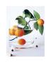 Kumquats by Amelie Vuillon Limited Edition Pricing Art Print