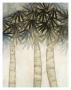 Bamboo Canopy One by David Dauncey Limited Edition Print
