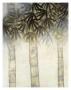 Bamboo Canopy Two by David Dauncey Limited Edition Print