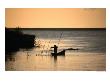 Fisherman Checking Nets At Dawn On Danube Delta, Tulcea, Romania, by Diana Mayfield Limited Edition Pricing Art Print