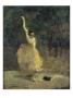 La Danseuse Espagnole by Henri De Toulouse-Lautrec Limited Edition Print