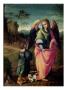 Tobias And The Angel by Francesco Ubertini Verdi Bachiacca Limited Edition Pricing Art Print