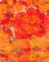 Marigolds Iv by Lisa Ven Vertloh Limited Edition Print