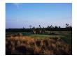 Barefoot Resort And Golf Love Course, Hole 6 by Stephen Szurlej Limited Edition Print