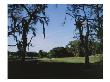 Lake Jovita Golf Club by Stephen Szurlej Limited Edition Pricing Art Print