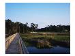 Marshes Around Tidewater Golf Club And Plantation by Stephen Szurlej Limited Edition Pricing Art Print
