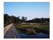 Marshes Around Tidewater Golf Club And Plantation by Stephen Szurlej Limited Edition Print