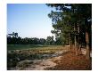 Pinehurst Golf Course No. 2, Hole 12 by Stephen Szurlej Limited Edition Print