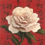 Chinese Rose On Red by T. C. Chiu Limited Edition Pricing Art Print