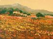 Afternoon Sun, Languedoc by Hazel Barker Limited Edition Print