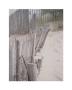 Beach Fence by Tammy Repp Limited Edition Print