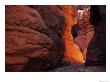 Warm Light Reflects In A Side Canyon In The Grand Canyon, Arizona by Bill Hatcher Limited Edition Print