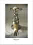 Bronze Faucet by Calixto Berrocal Limited Edition Print