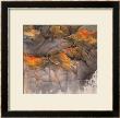 Mossy Rock On The Coast by Guosong Liu Limited Edition Print