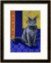 Chat Chartreux, Series I by Isy Ochoa Limited Edition Print