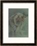 Figure Of A Warrior, Partly Draped by Giovanni Battista Cipriani Limited Edition Pricing Art Print