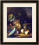 A Parrot With Grapes, Peaches And Plums In A Landscape by Tobias Stranover Limited Edition Print