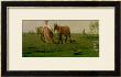 Ploughing In Spring, 1820S by Aleksei Gavrilovich Venetsianov Limited Edition Print