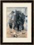 Running Horses In Valley by Huachazc Lee Limited Edition Print