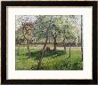 An Enclosure In Eragny by Camille Pissarro Limited Edition Print