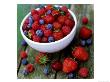 Summer Fruit, Blackberries, Strawberries, Raspberries, Blueberries And Cherries On Rustic Table by James Guilliam Limited Edition Print