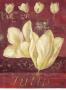 Tulip Blooms Ii by Fabrice De Villeneuve Limited Edition Pricing Art Print